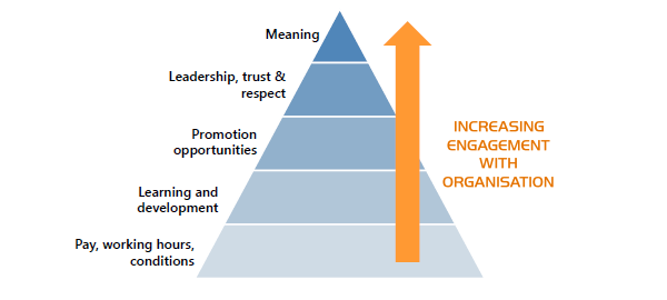 Employee Satisfaction Surveys: Measuring Staff Engagement